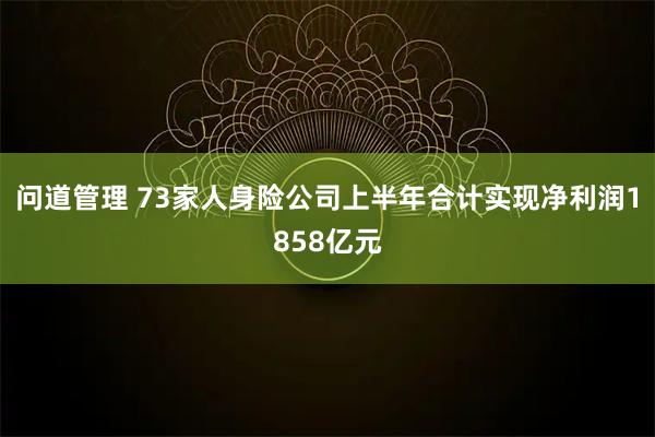 问道管理 73家人身险公司上半年合计实现净利润1858亿元