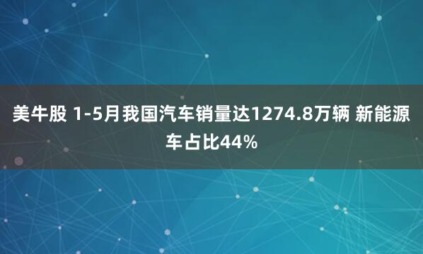 美牛股 1-5月我国汽车销量达1274.8万辆 新能源车占比44%