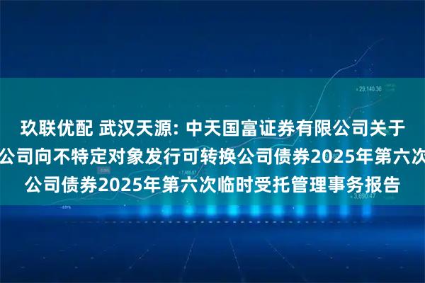 玖联优配 武汉天源: 中天国富证券有限公司关于武汉天源集团股份有限公司向不特定对象发行可转换公司债券2025年第六次临时受托管理事务报告