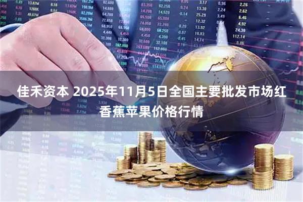 佳禾资本 2025年11月5日全国主要批发市场红香蕉苹果价格行情