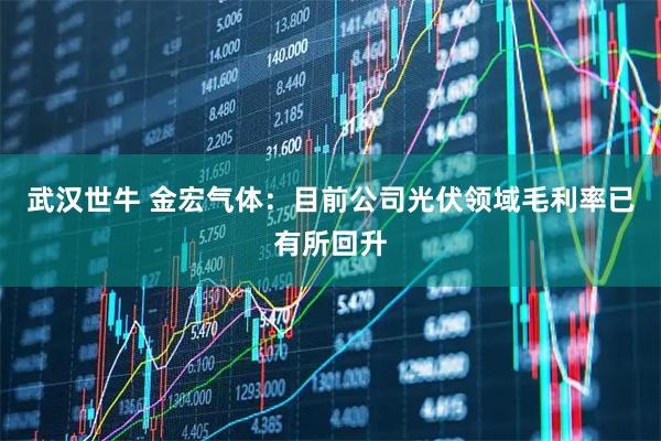 武汉世牛 金宏气体：目前公司光伏领域毛利率已有所回升
