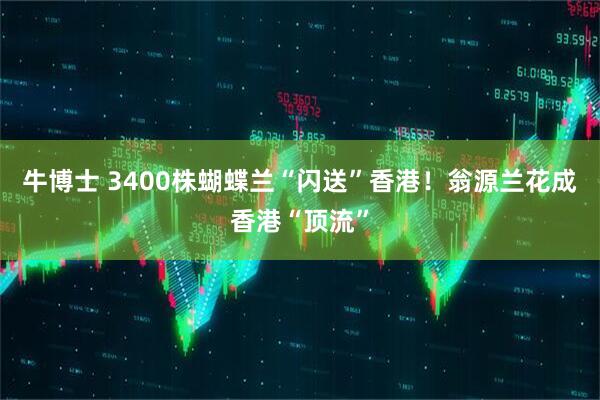 牛博士 3400株蝴蝶兰“闪送”香港！翁源兰花成香港“顶流”