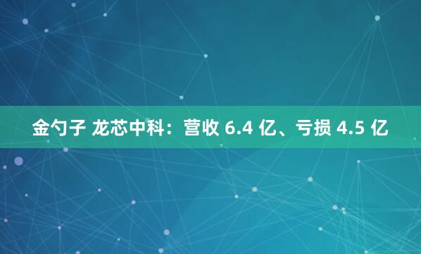 金勺子 龙芯中科：营收 6.4 亿、亏损 4.5 亿