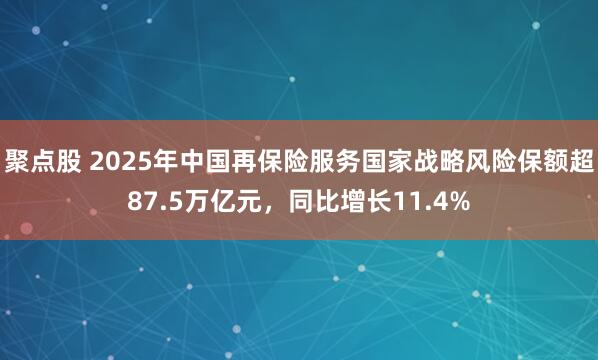 聚点股 2025年中国再保险服务国家战略风险保额超87.5万亿元，同比增长11.4%