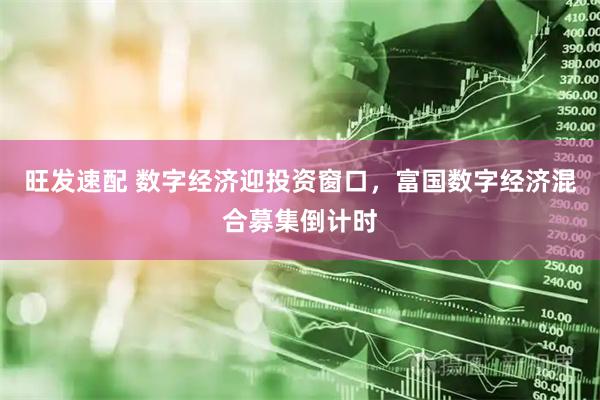 旺发速配 数字经济迎投资窗口,富国数字经济混合募集倒计时